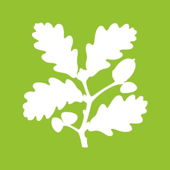 NationalTrust-114358.jpg