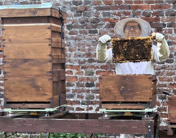 24e335908c4c0edf_The_Hive_presents__The_Little_Bees_That_Can_Do_Big.png