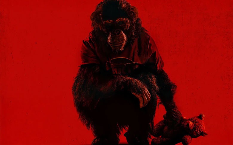 42dbf37aa40029ef_Primate.jpg