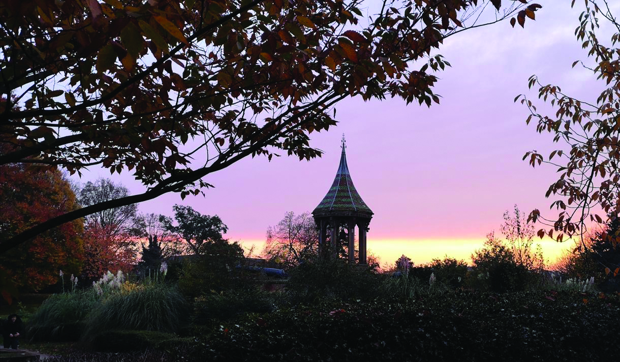 Arboretum-114358.jpg (1)