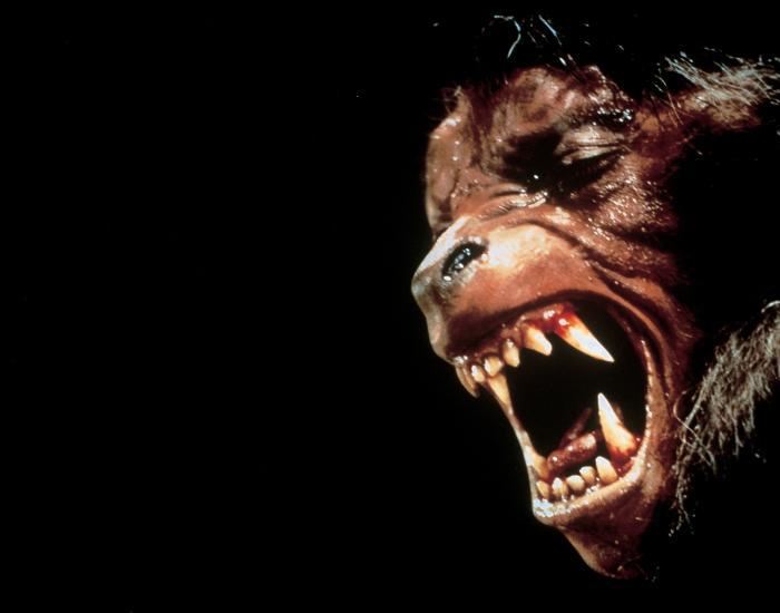 3f2eba183f46cb3b_An_American_Werewolf_in_London.jpg