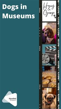 87c4ea25401387db_Dogs_In_Museums.jpg