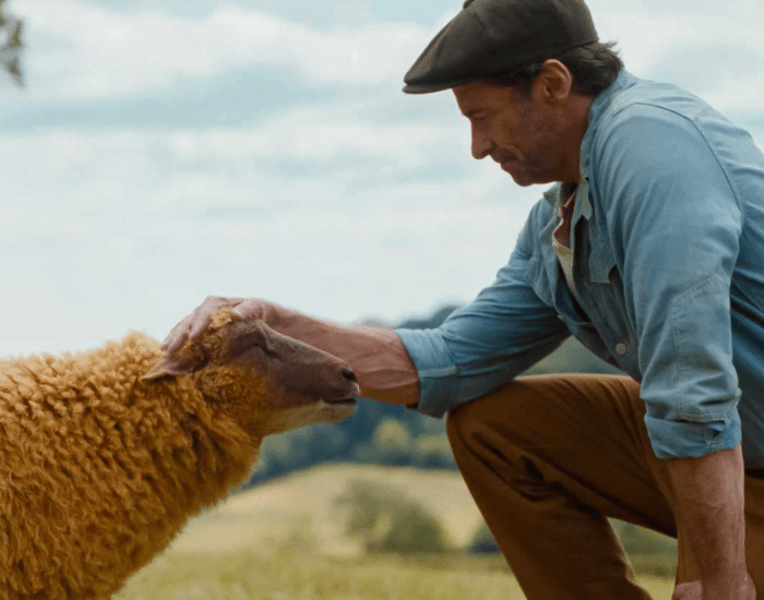 6e3d12c70dc672c7_The_Sheep_Detectives_-_Supportive_Environment.png