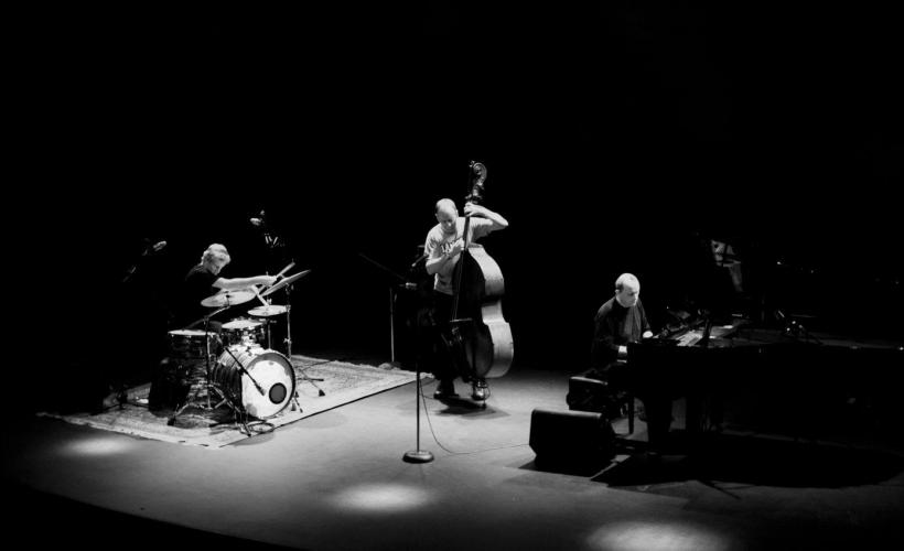 a0f3bce59bbf51d5_The_Necks.jpg (1)