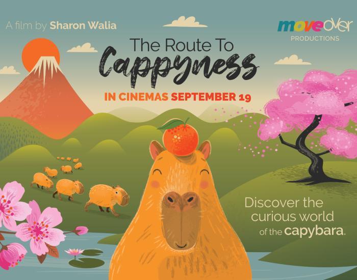 133d75a5b75f1841_The_Route_to_Cappyness_-_Discover_the_Curious_Worl.jpg