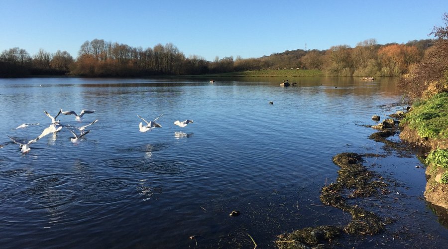 Colwick-114358.jpg (1)