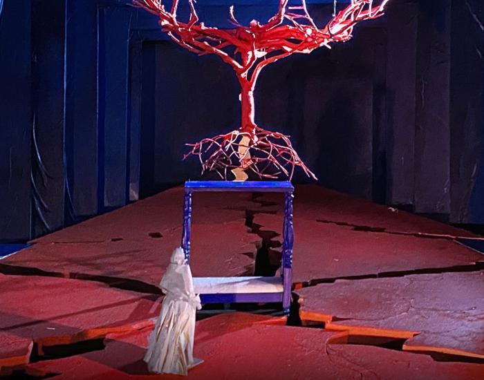 a61bb2bea0caf462_Met_Opera__El_Último_Sueño_de_Frida_y_Diego.jpg
