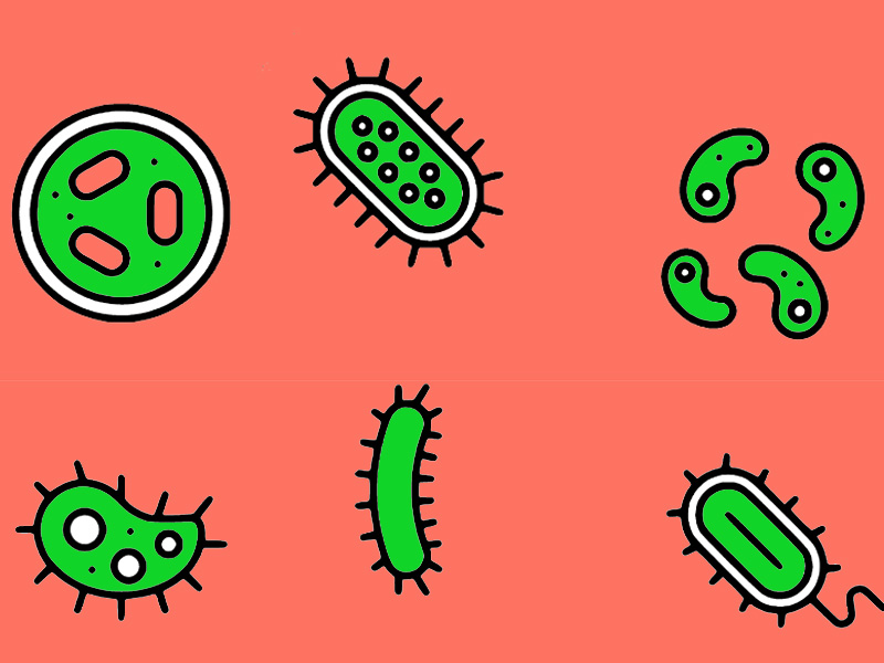 Cells, virusese, and bacteria!-114354.jpg