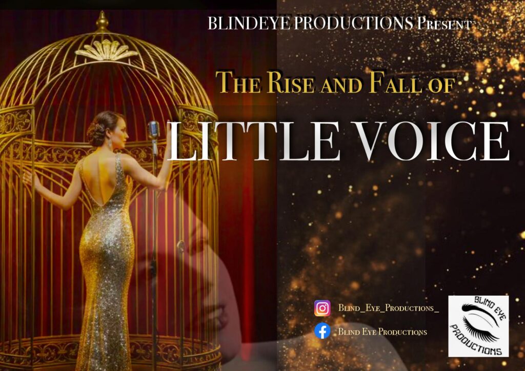 c687b12fc76bd10f_Blind_Eye_Productions…The_Rise_and_Fall_of_Little_.jpg