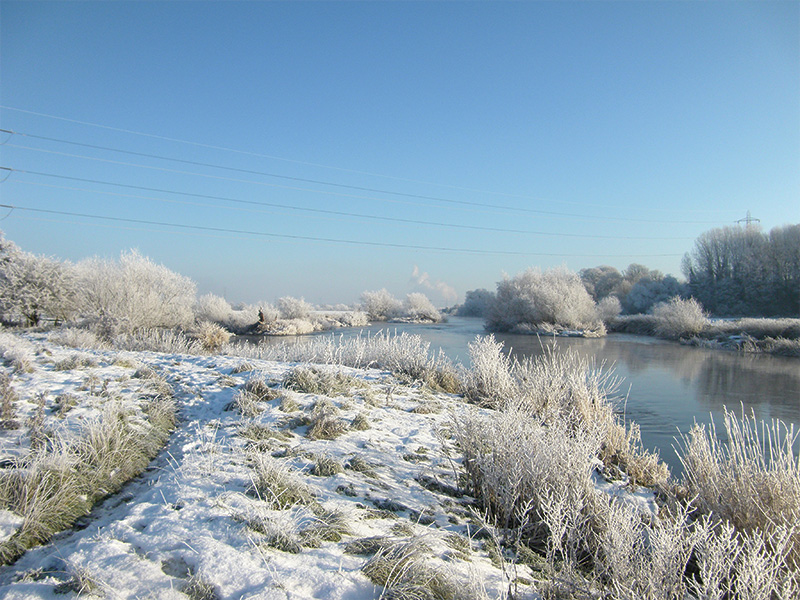 Prehistoric lives in the trent valley-114354.jpg
