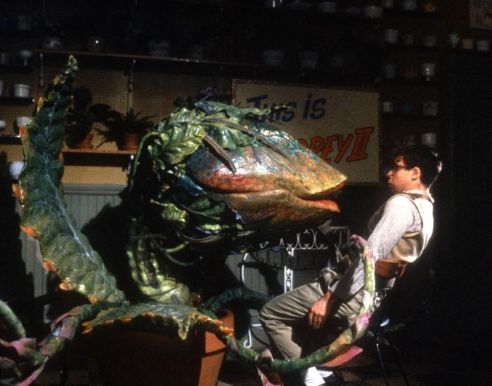236b65bcbc111ec7_Nottingham_Puppet_Festival__Little_Shop_of_Horrors.jpg