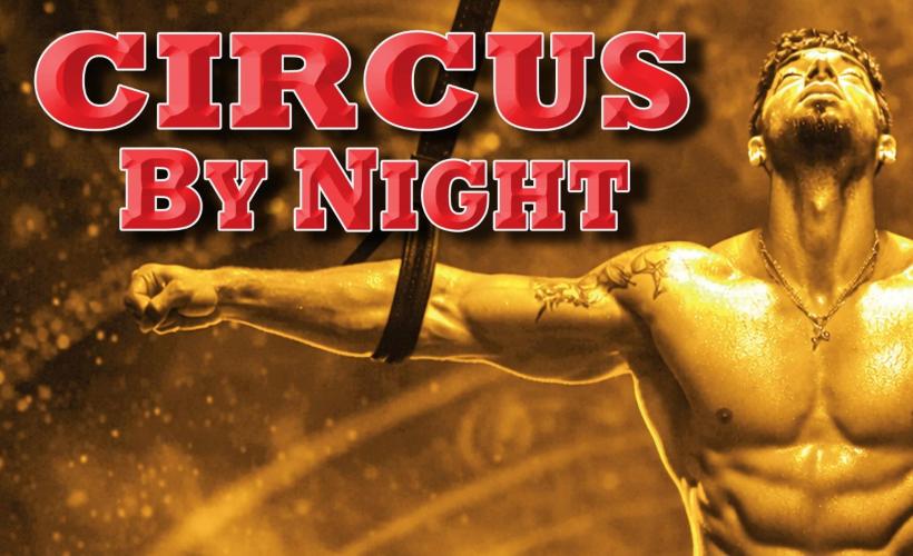 cbab5c1ae89fd76b_GANDEYS_CIRCUS_BY_NIGHT.jpg