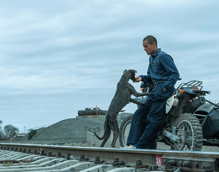 826a9442fe1ca148_Black_Dog.png