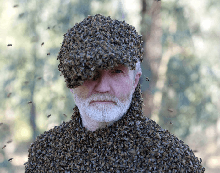 2a9355985a0efb6c_The_Hive_presents__What_Have_Insects_Ever_Done_For.png