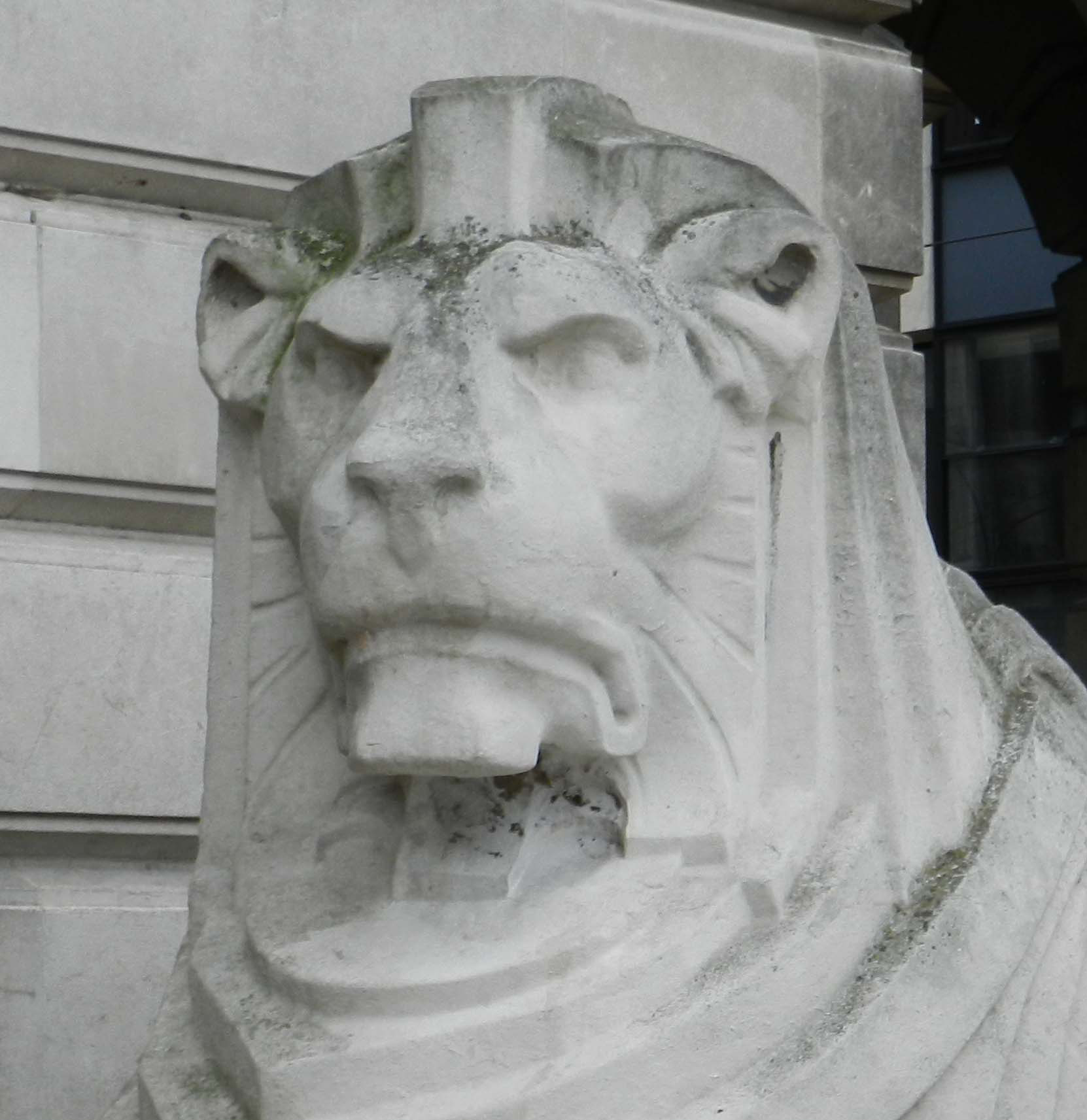 left lion-114358.jpg