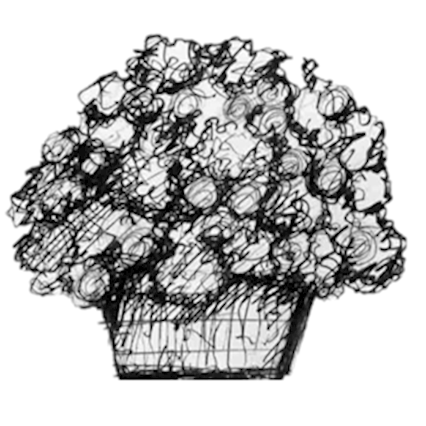 81d55f0b-5bd4-423d-b89c-79ce688a135a.png