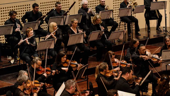 93304cd86d6406ee_Sinfonia_Viva.webp