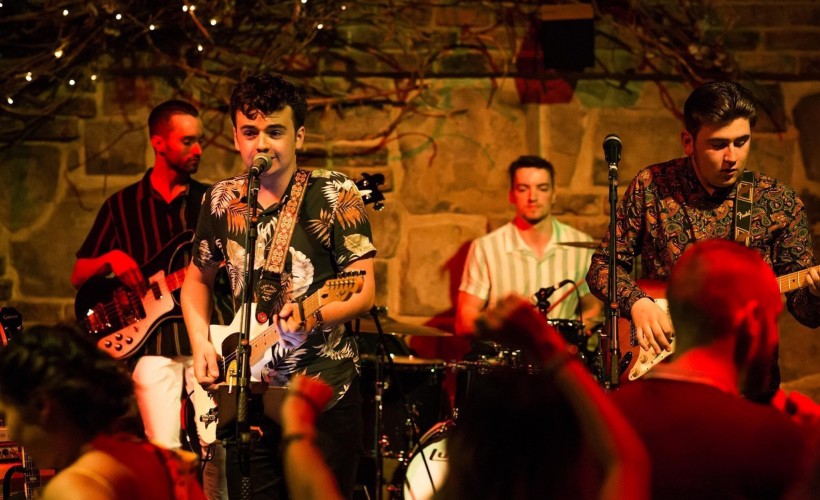 2f8a4e73c2f51f29_The_Houndcats.jpg