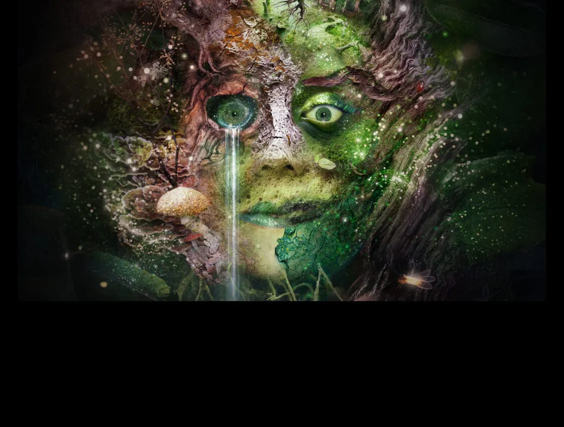 1de721e6c8515796_Bryony_Kimmings_–_Bog_Witch.webp