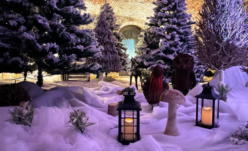 83f90c2e9ce1c0be_Winter_Woodland_Santas_Grotto.jpg